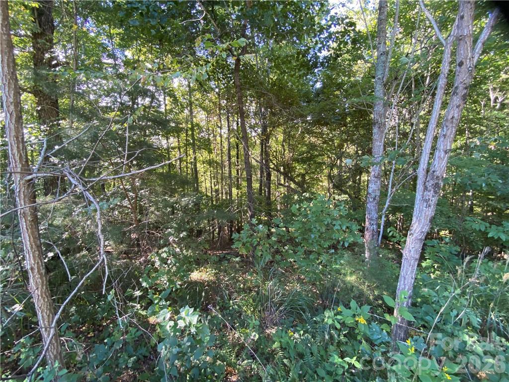 46 Holmstead Drive 46 Property Photo 22