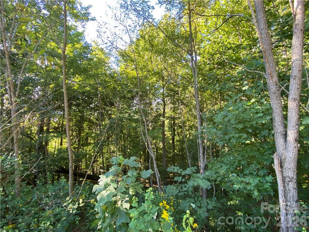 46 Holmstead Drive 46 Property Photo 25