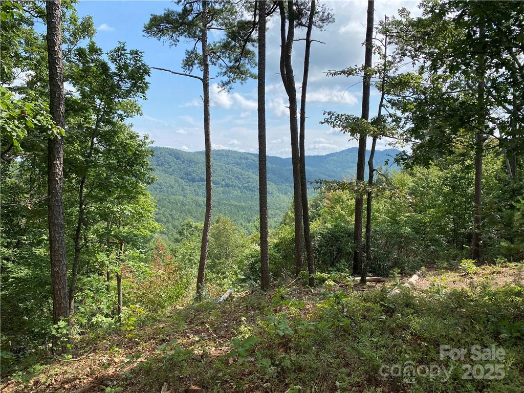 61 Scenic Vista Drive 238 Property Photo 2