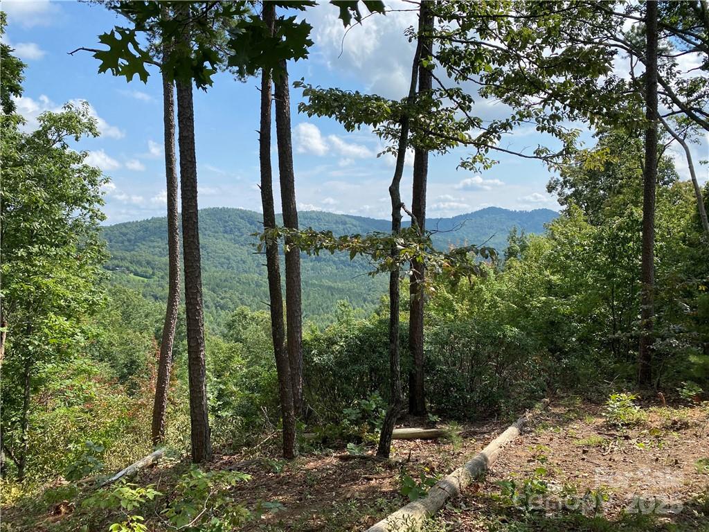61 Scenic Vista Drive 238 Property Photo 3