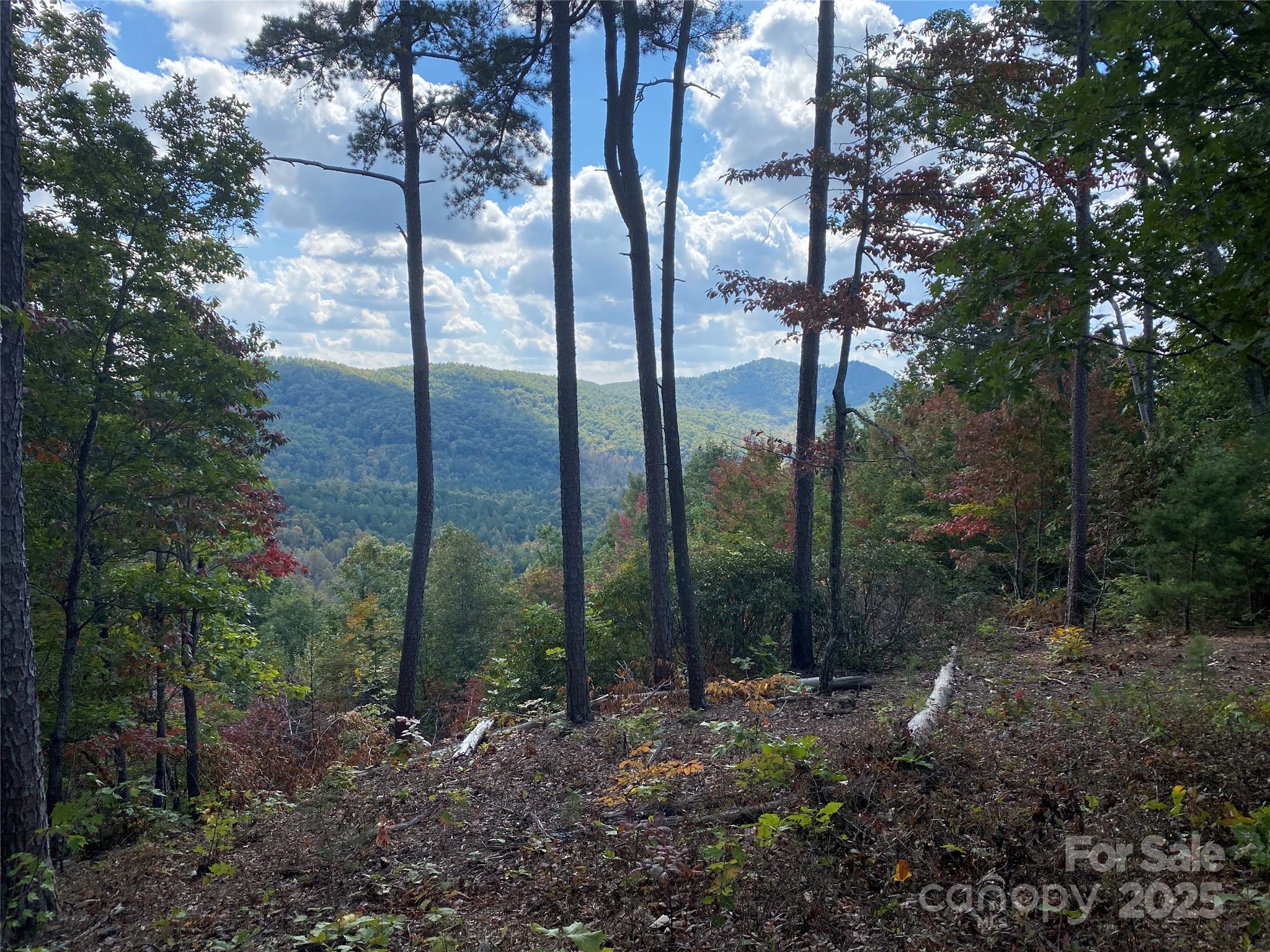 61 Scenic Vista Drive 238 Property Photo 5