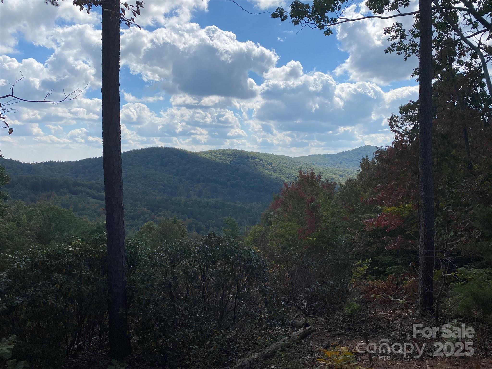 61 Scenic Vista Drive 238 Property Photo 7