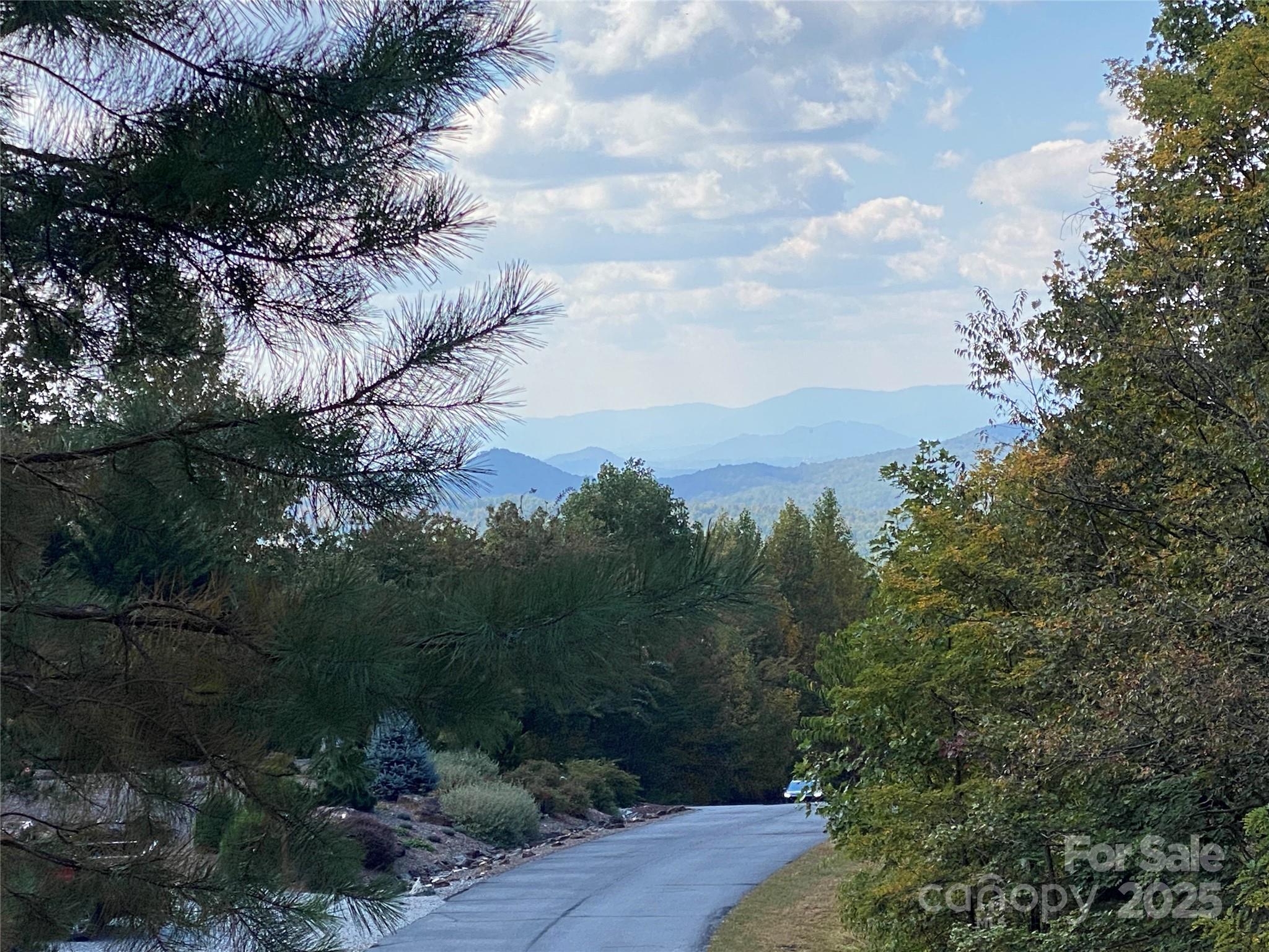 61 Scenic Vista Drive 238 Property Photo 9