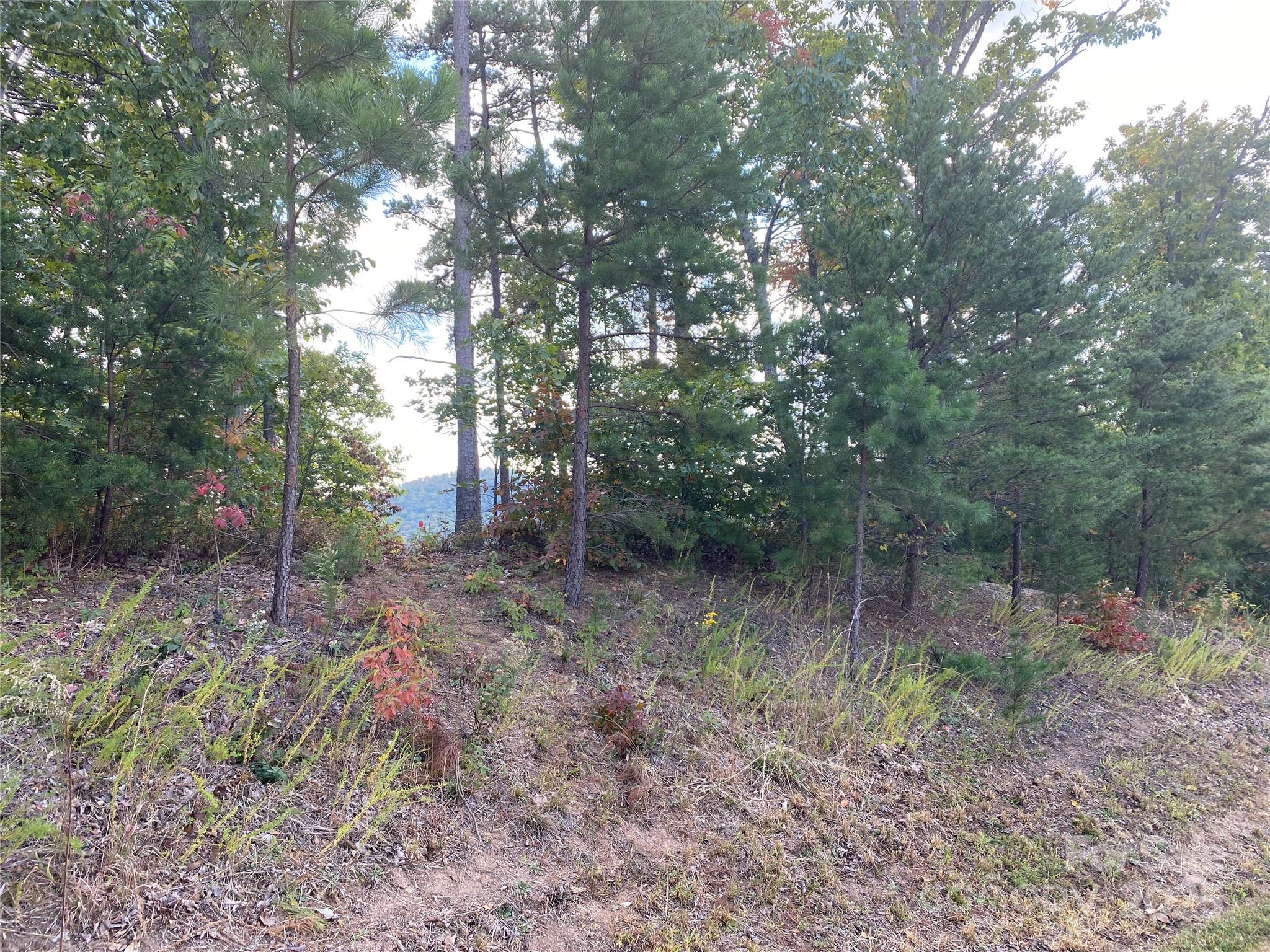 61 Scenic Vista Drive 238 Property Photo 12