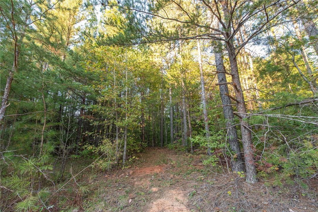 000 Windy Ridge Drive Property Photo 8