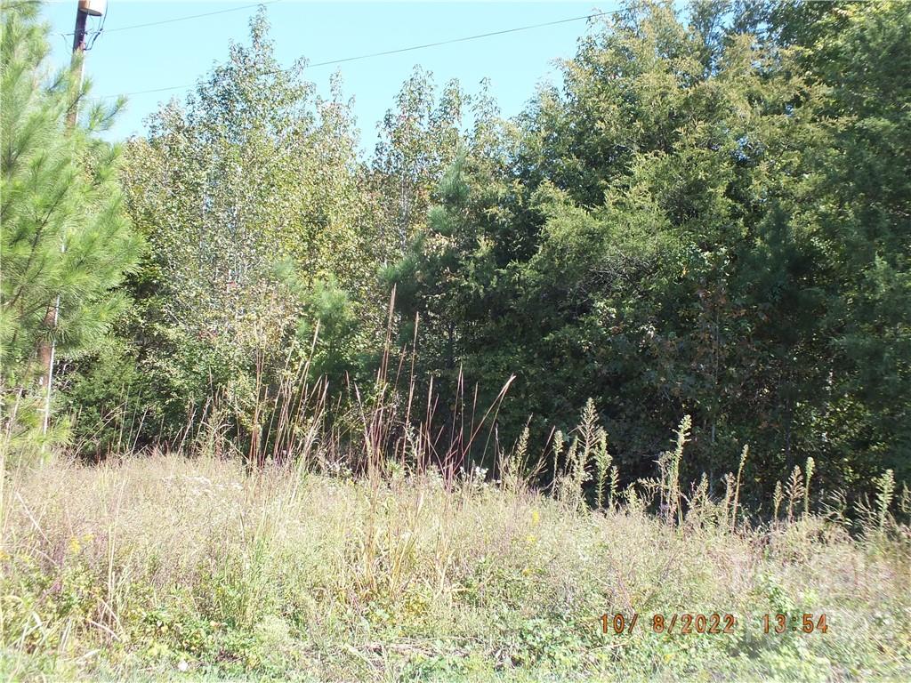 00 Hwy 200 Bypass Property Photo 3