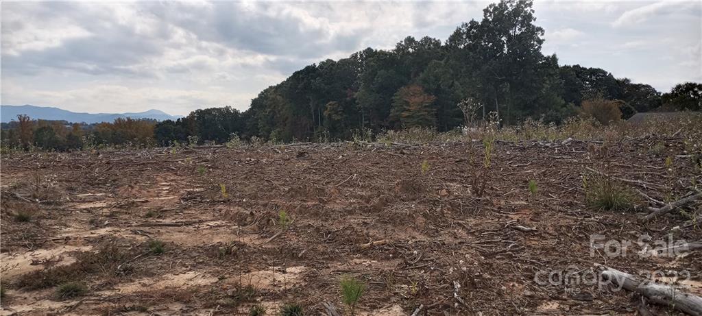 Tbd Hwy 70 Road Property Photo 4