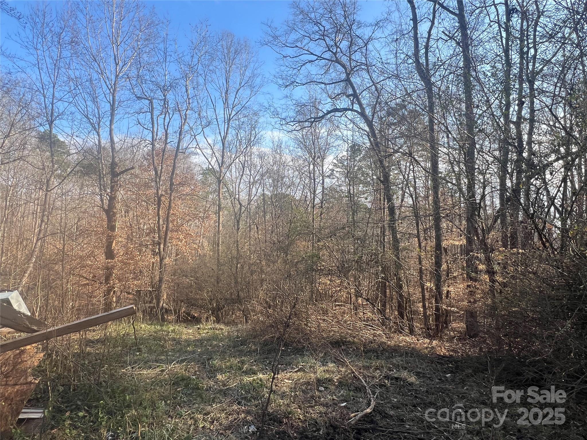 1630 Riddle Extension Property Photo 3