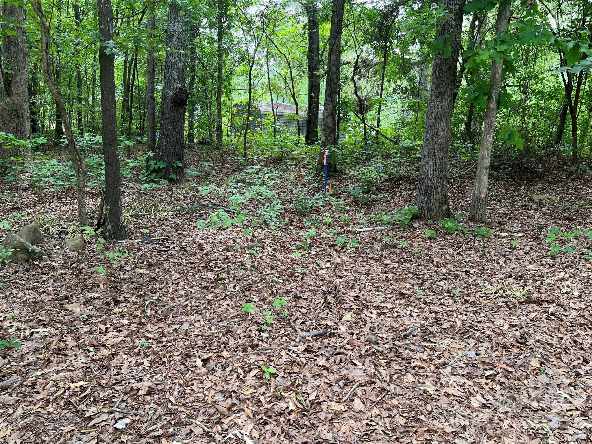 1630 Riddle Extension Property Photo 7