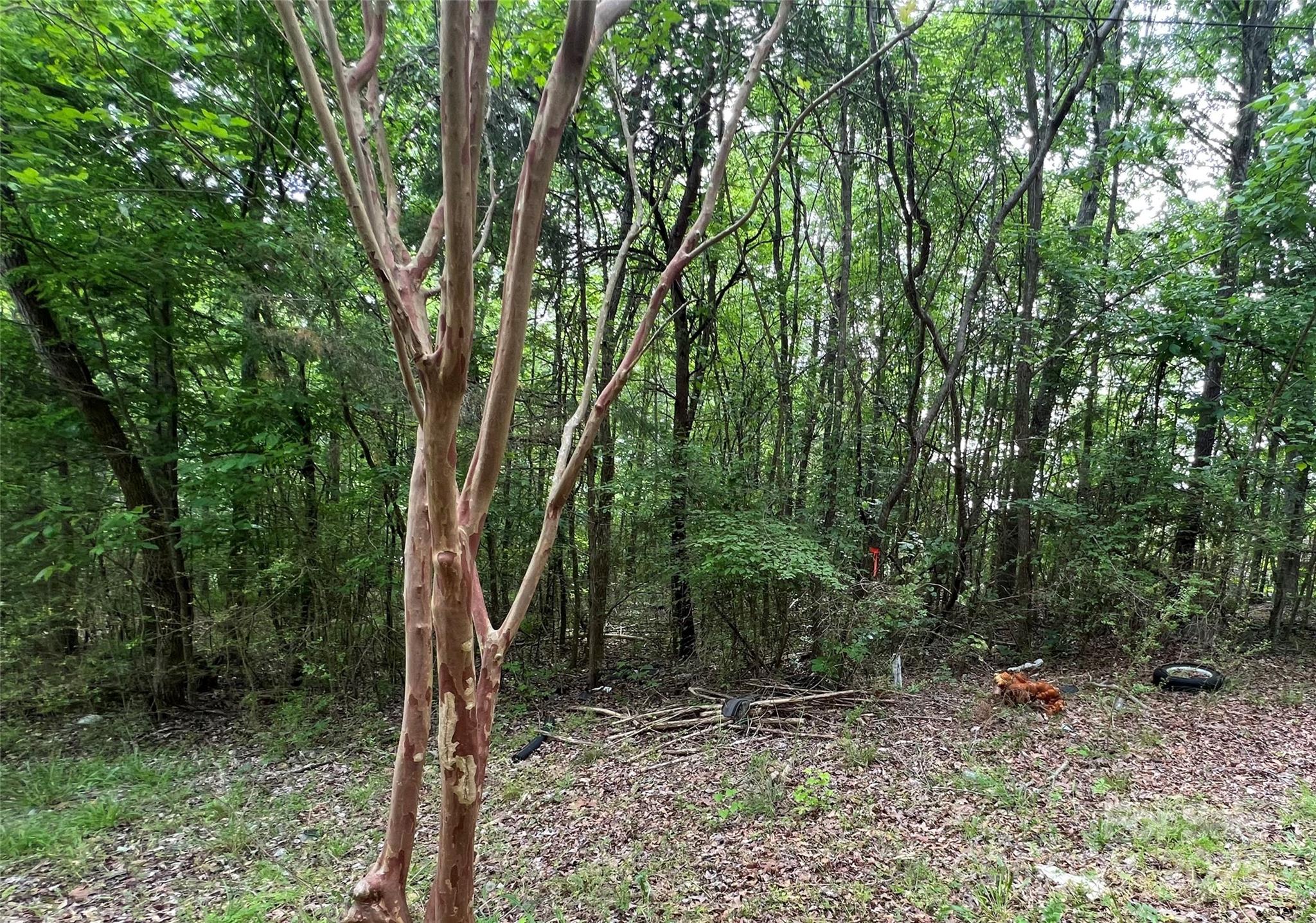 1630 Riddle Extension Property Photo 8