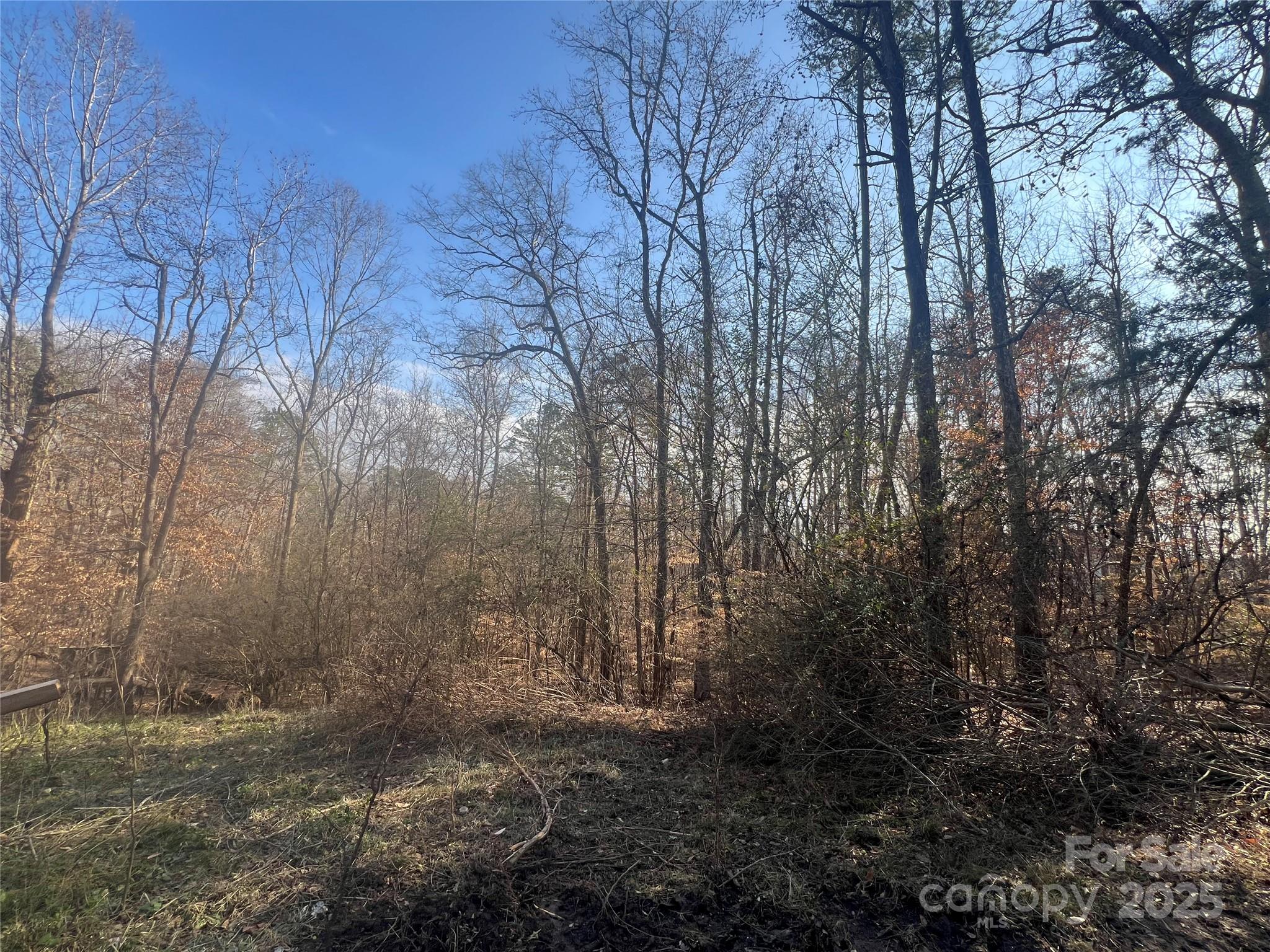 1630 Riddle Extension Property Photo 15