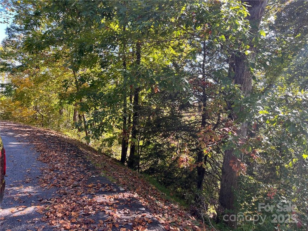 000 Rambling Creek Road 11 Property Photo 2