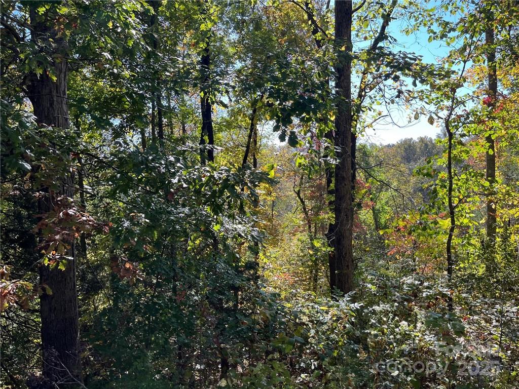 000 Rambling Creek Road 11 Property Photo 3