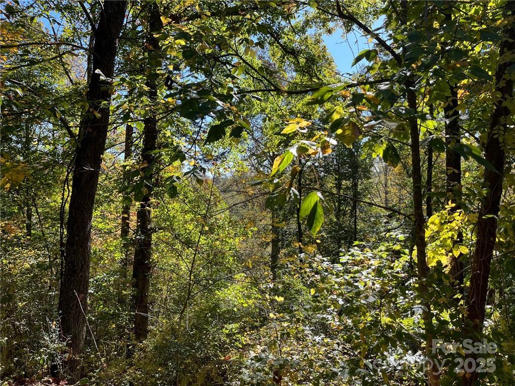 000 Rambling Creek Road 11 Property Photo 4