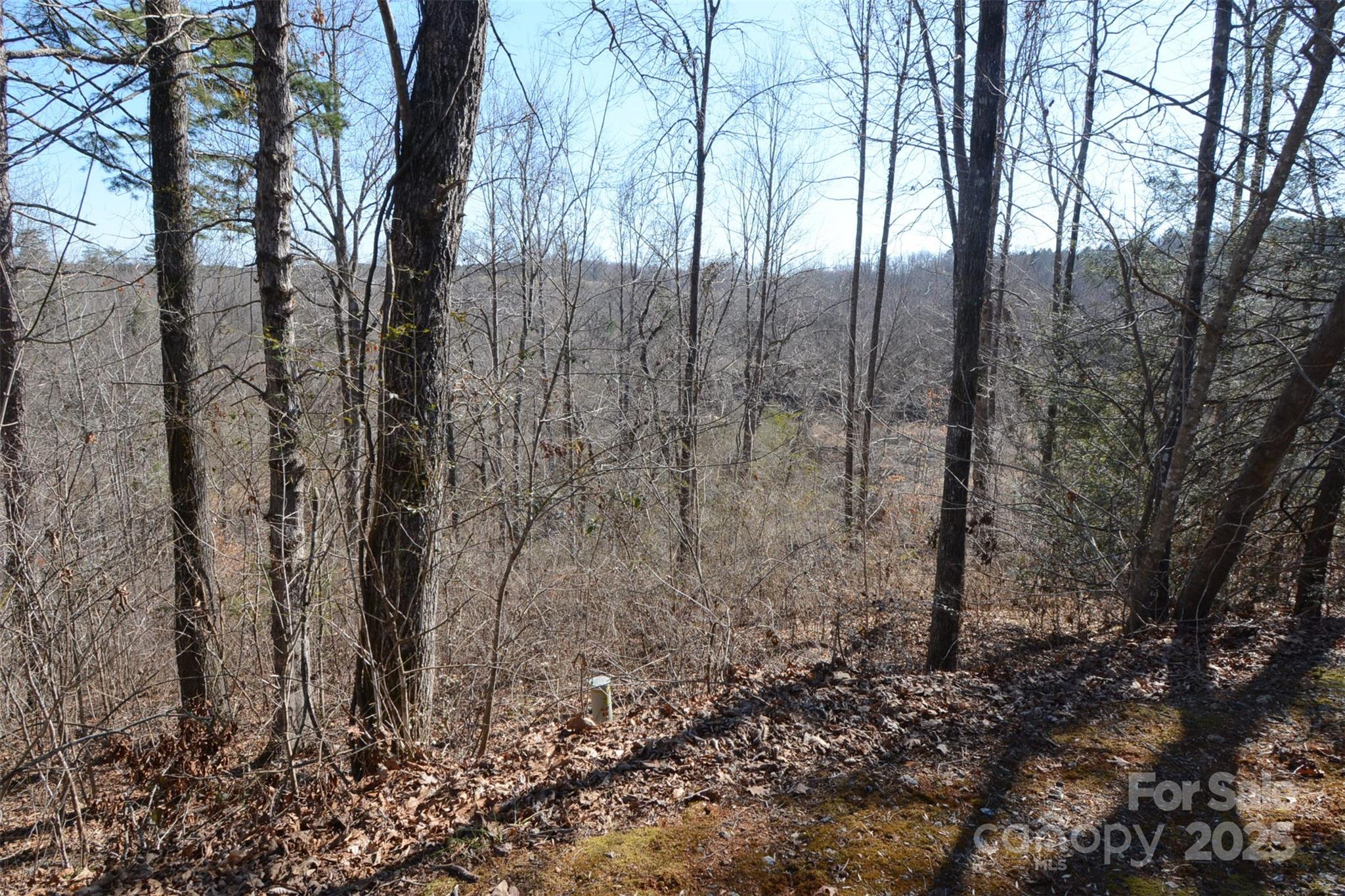 000 Rambling Creek Road 11 Property Photo 5