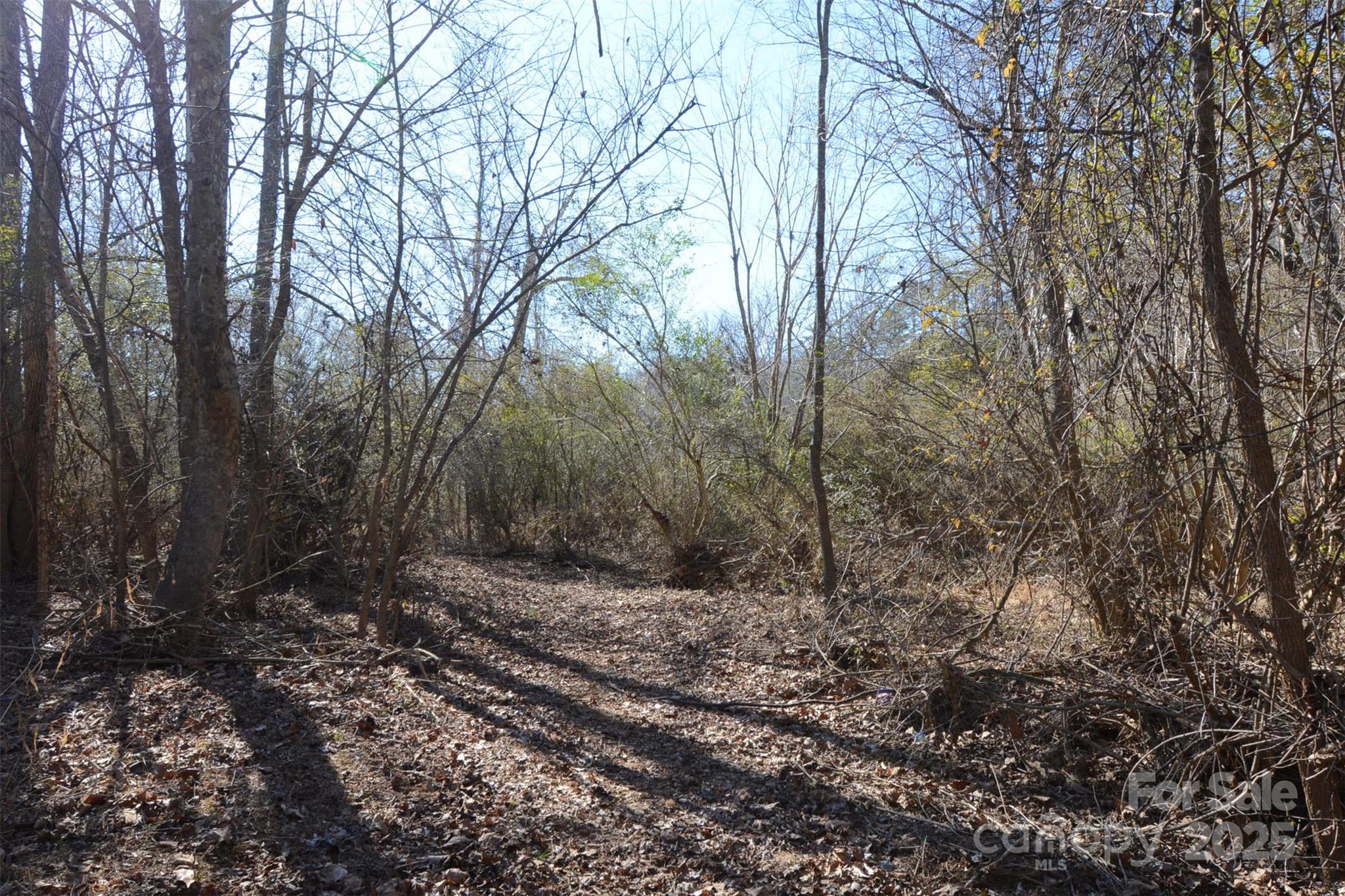 000 Rambling Creek Road 11 Property Photo 7