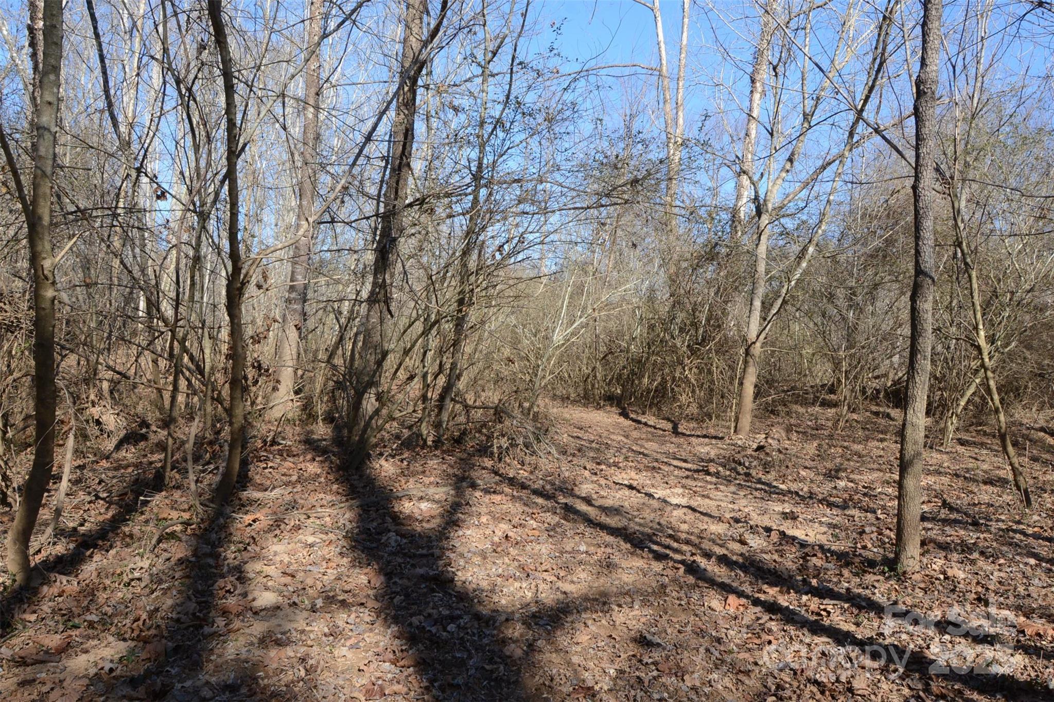 000 Rambling Creek Road 11 Property Photo 8