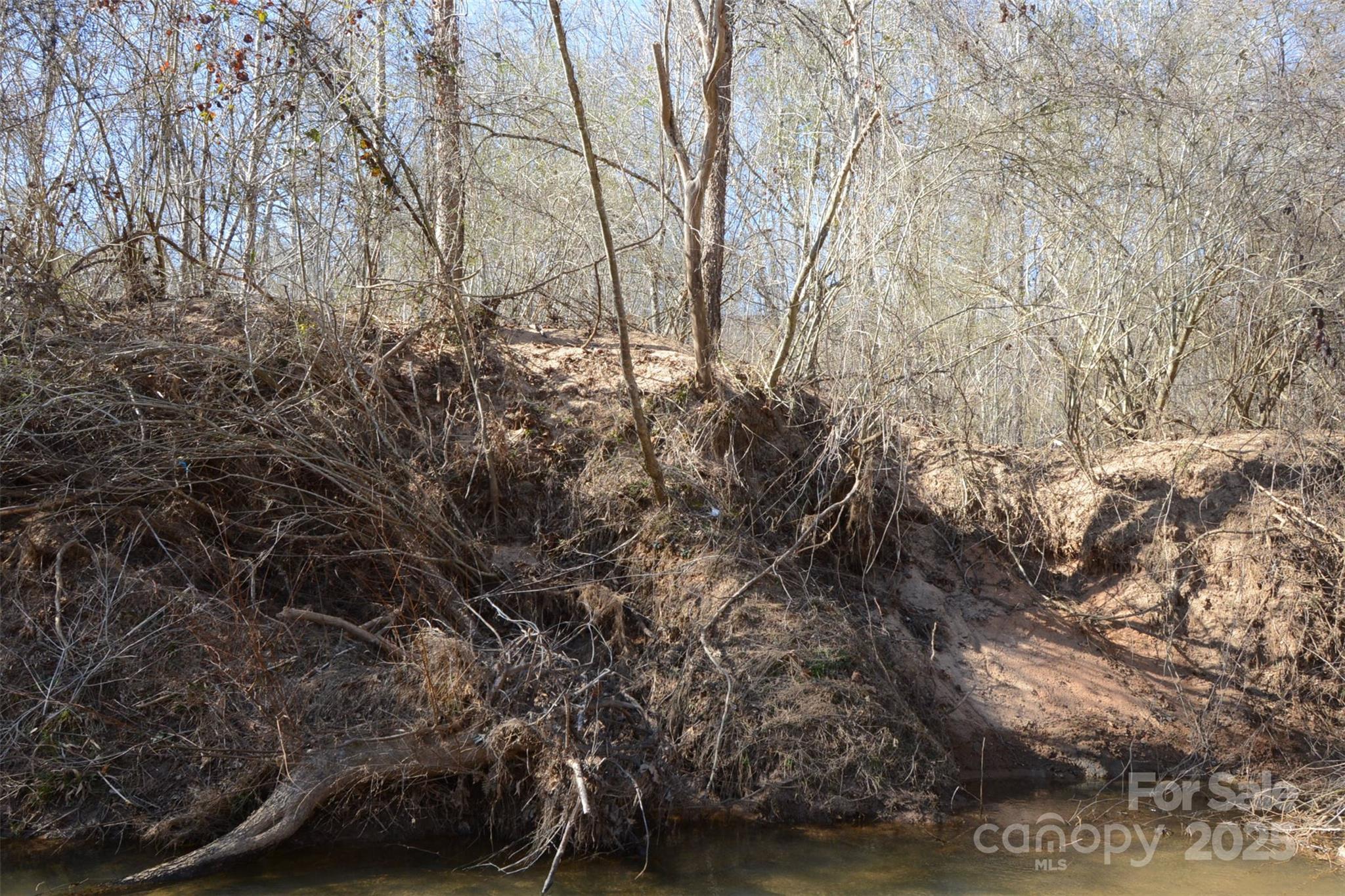 000 Rambling Creek Road 11 Property Photo 11