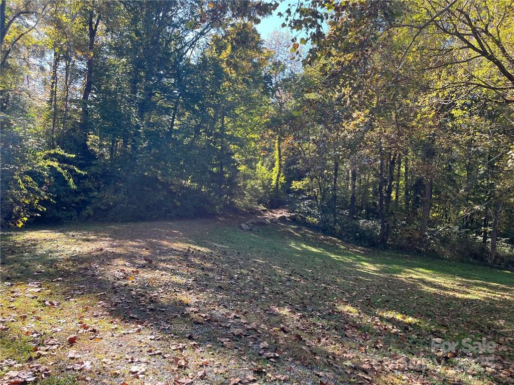 000 Rambling Creek Road 11 Property Photo 13