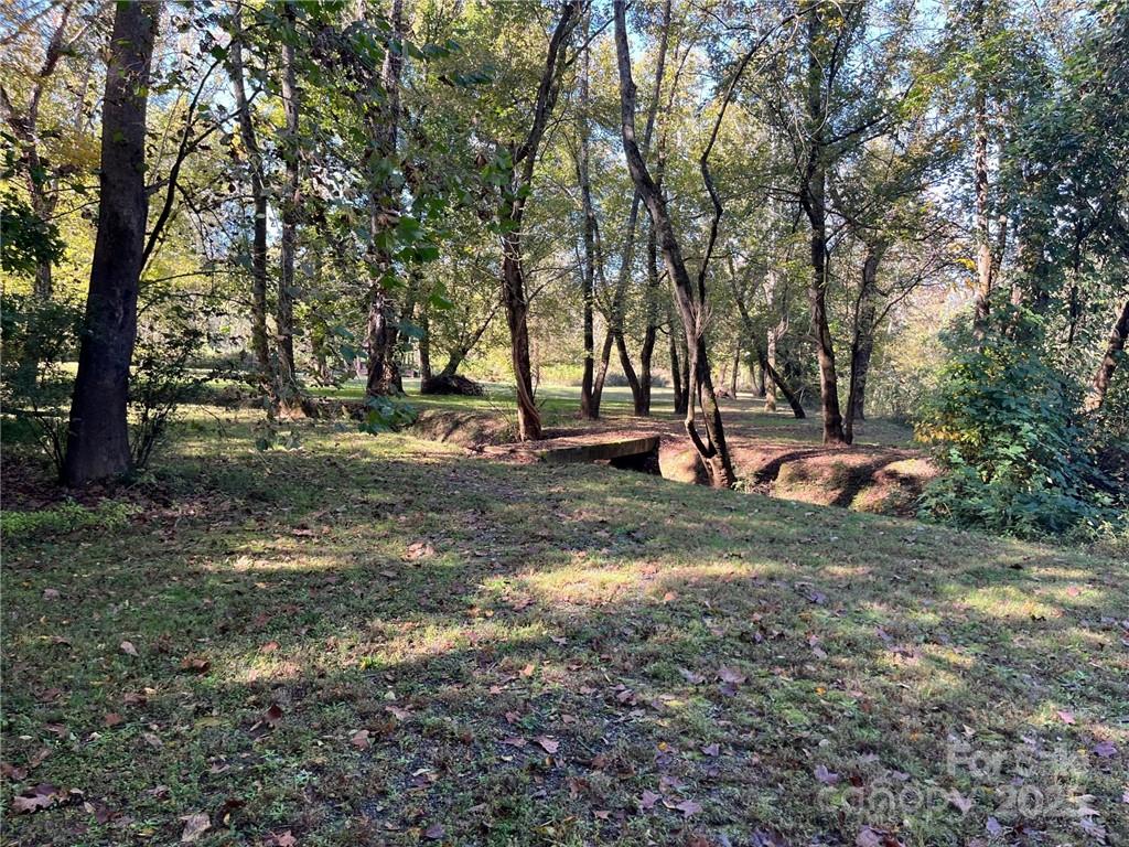000 Rambling Creek Road 11 Property Photo 14