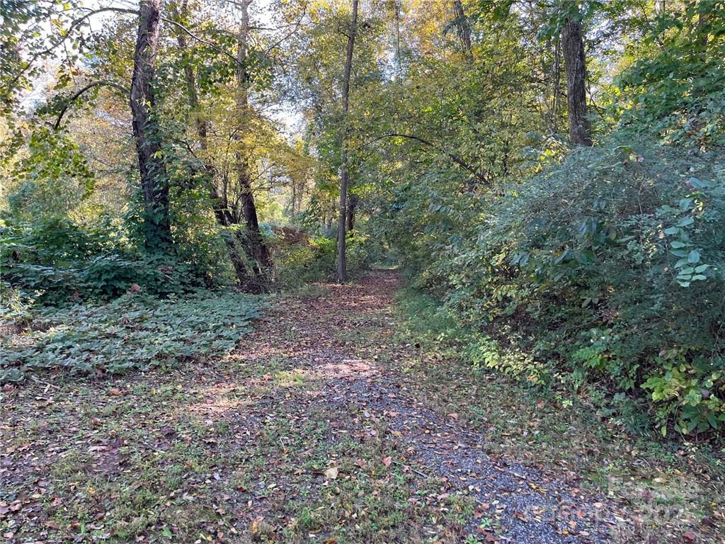 000 Rambling Creek Road 11 Property Photo 15