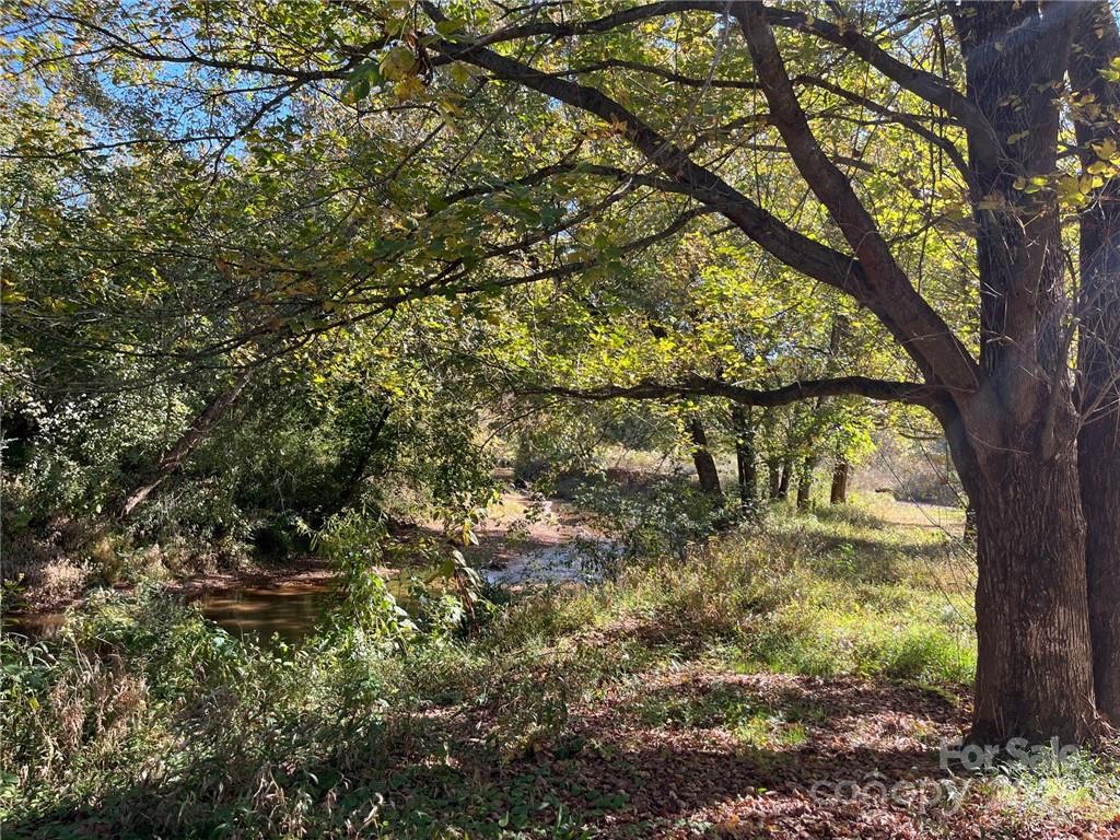 000 Rambling Creek Road 11 Property Photo 16
