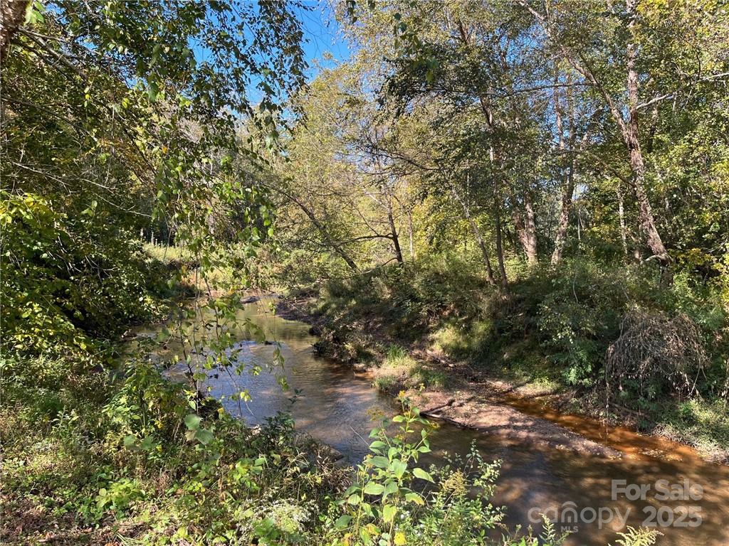 000 Rambling Creek Road 11 Property Photo 19