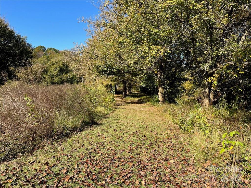 000 Rambling Creek Road 11 Property Photo 20