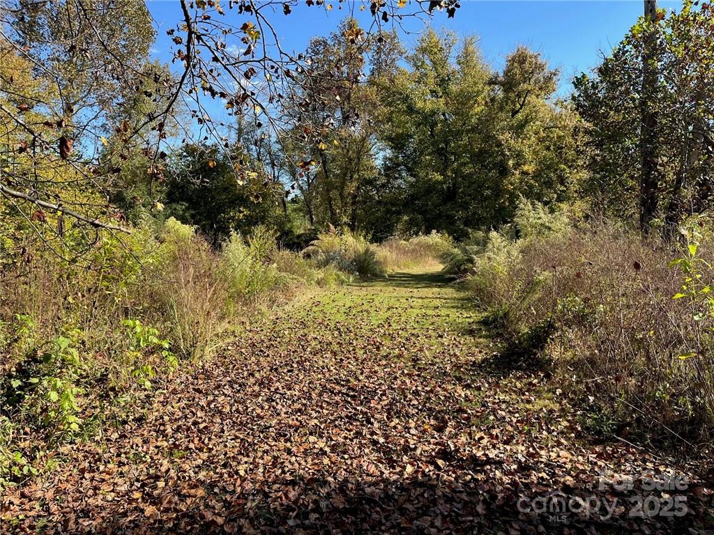 000 Rambling Creek Road 11 Property Photo 21