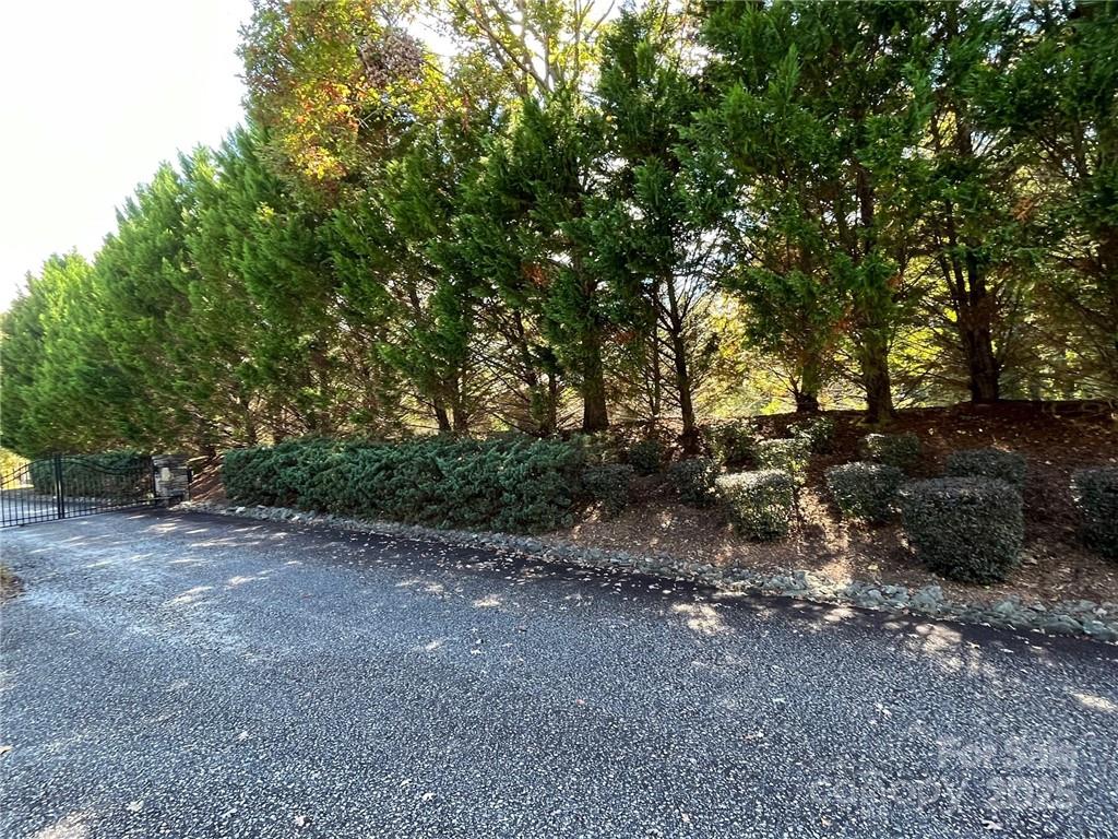 000 Rambling Creek Road 11 Property Photo 28
