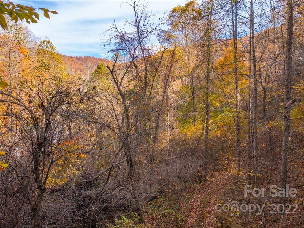 000 Drake Cove Road Property Photo 2