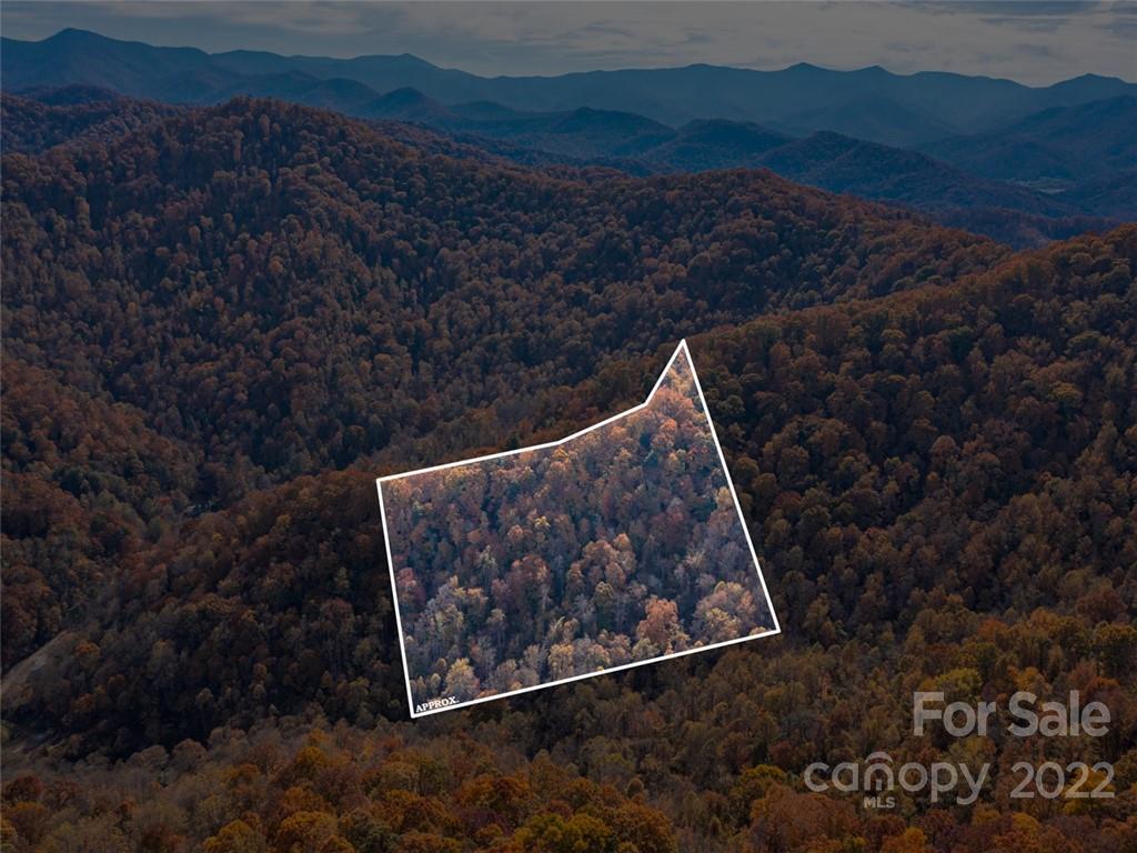 000 Drake Cove Road Property Photo 9
