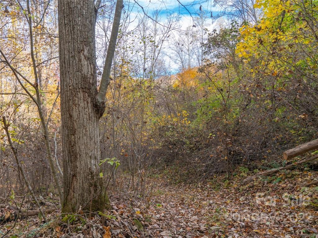 000 Drake Cove Road Property Photo 10