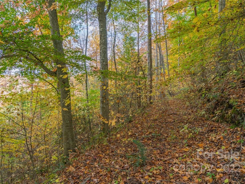 000 Drake Cove Road Property Photo 11