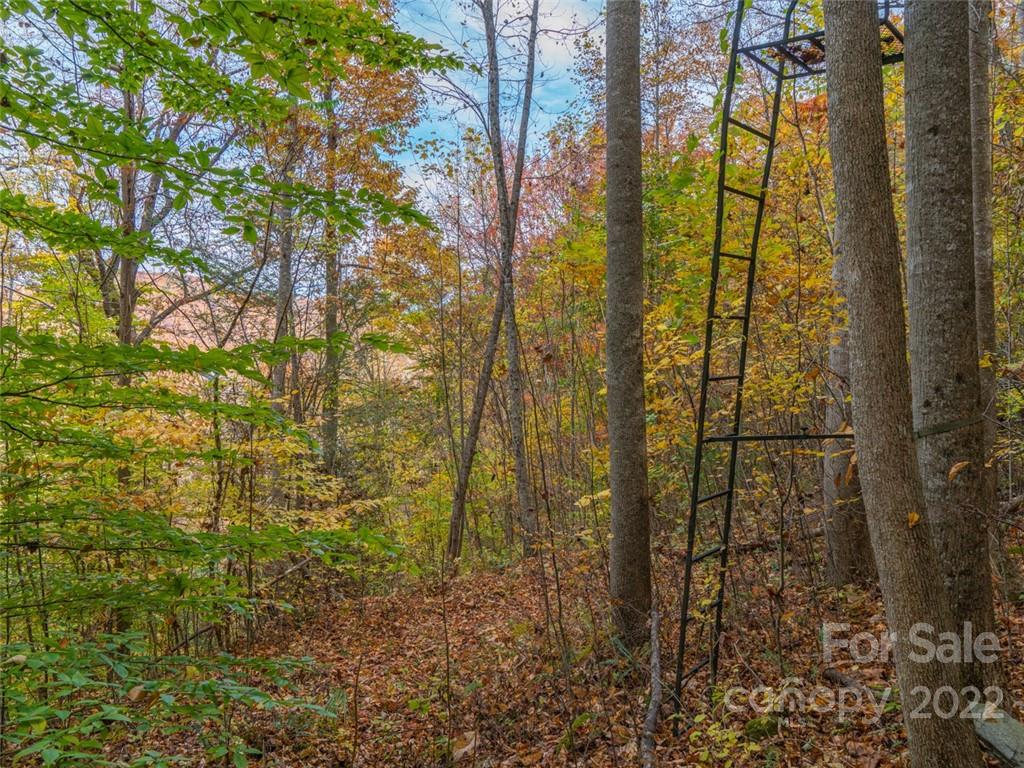 000 Drake Cove Road Property Photo 12