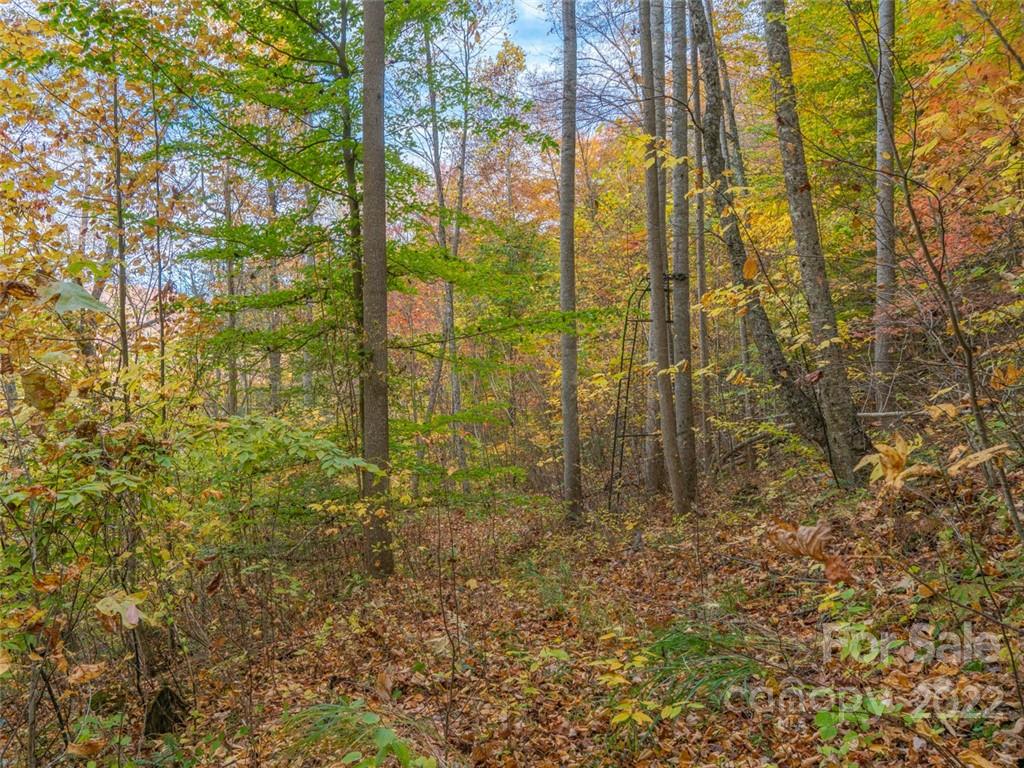 000 Drake Cove Road Property Photo 13