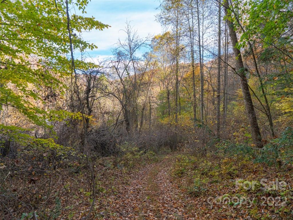000 Drake Cove Road Property Photo 16
