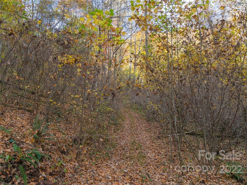 000 Drake Cove Road Property Photo 17