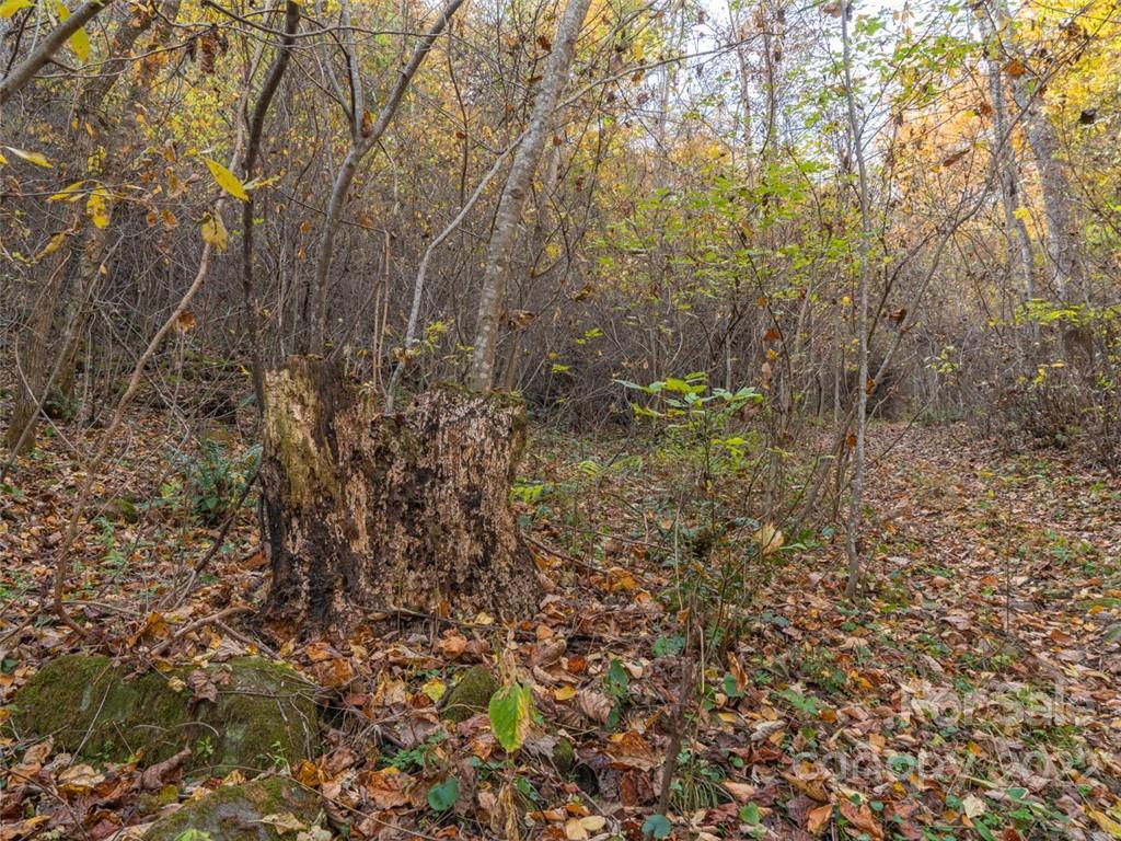 000 Drake Cove Road Property Photo 18