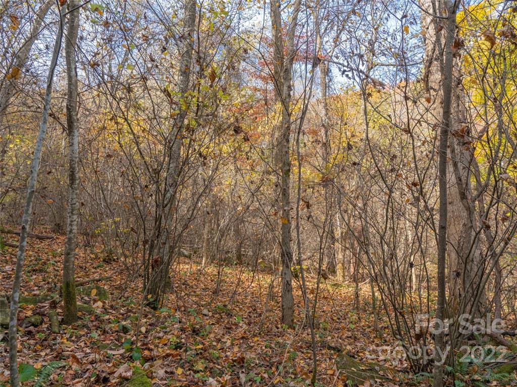 000 Drake Cove Road Property Photo 19