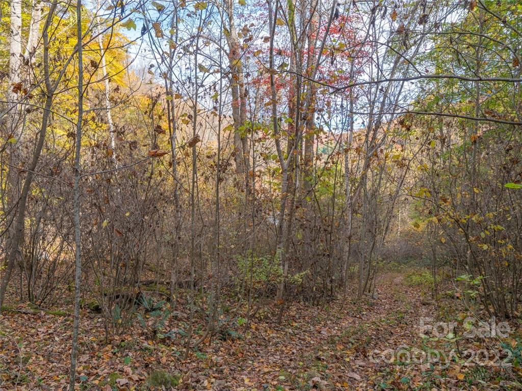 000 Drake Cove Road Property Photo 25