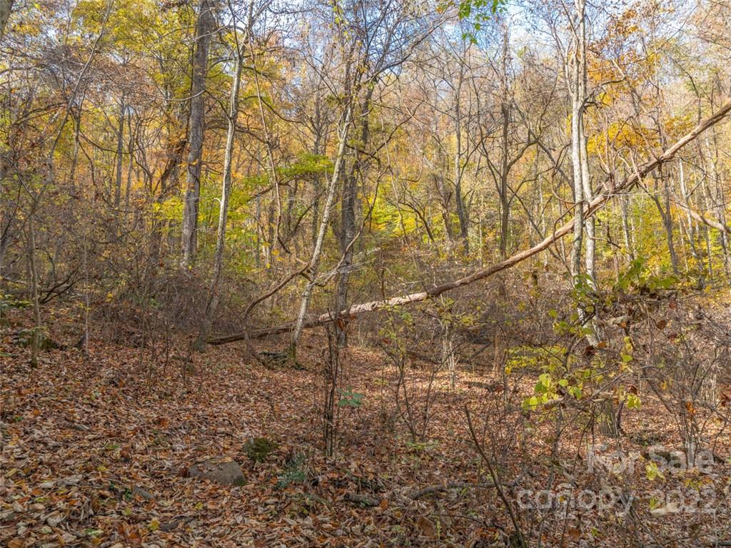 000 Drake Cove Road Property Photo 26