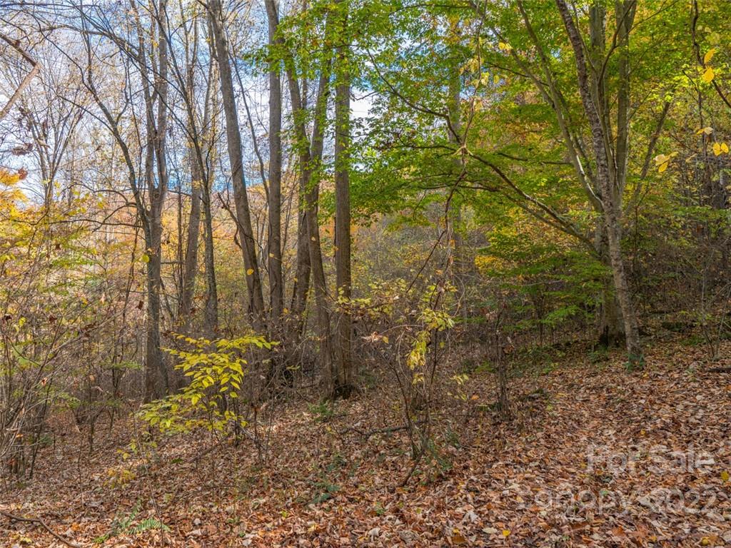 000 Drake Cove Road Property Photo 27