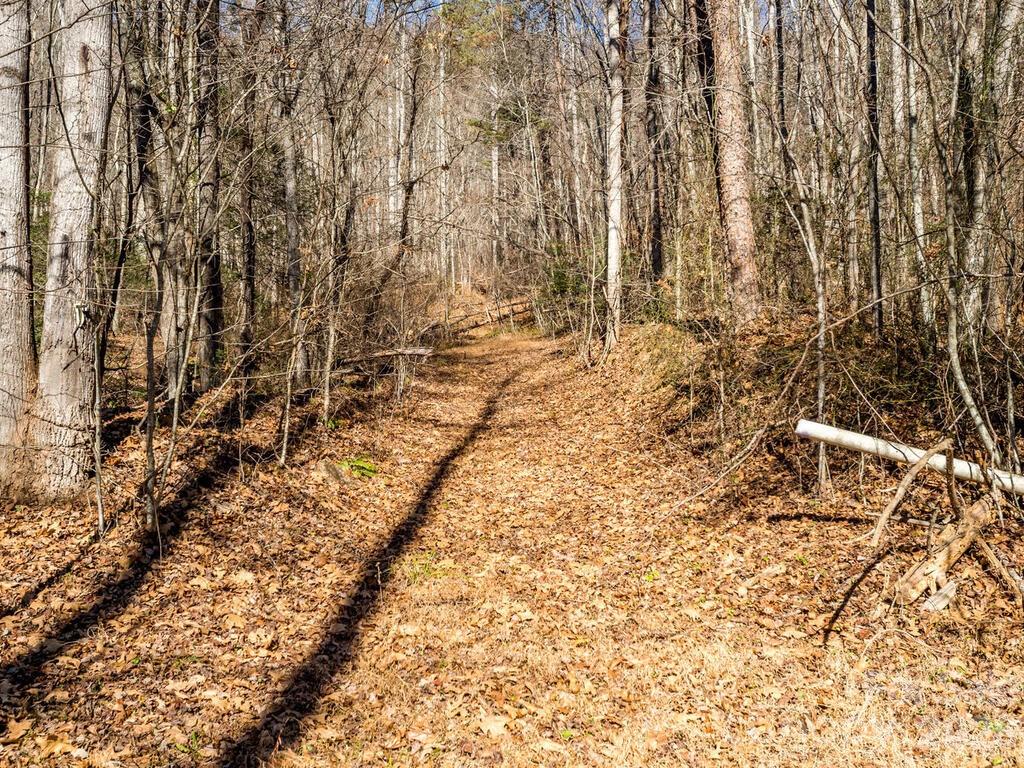 6 Tylers Run 12 Property Photo 27