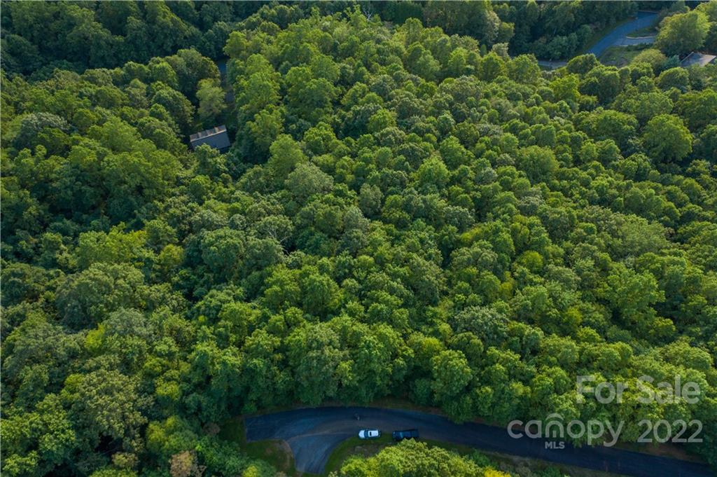 1161 Standing Deer Trace 130 Property Photo 2