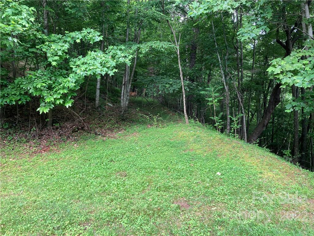 1161 Standing Deer Trace 130 Property Photo 4