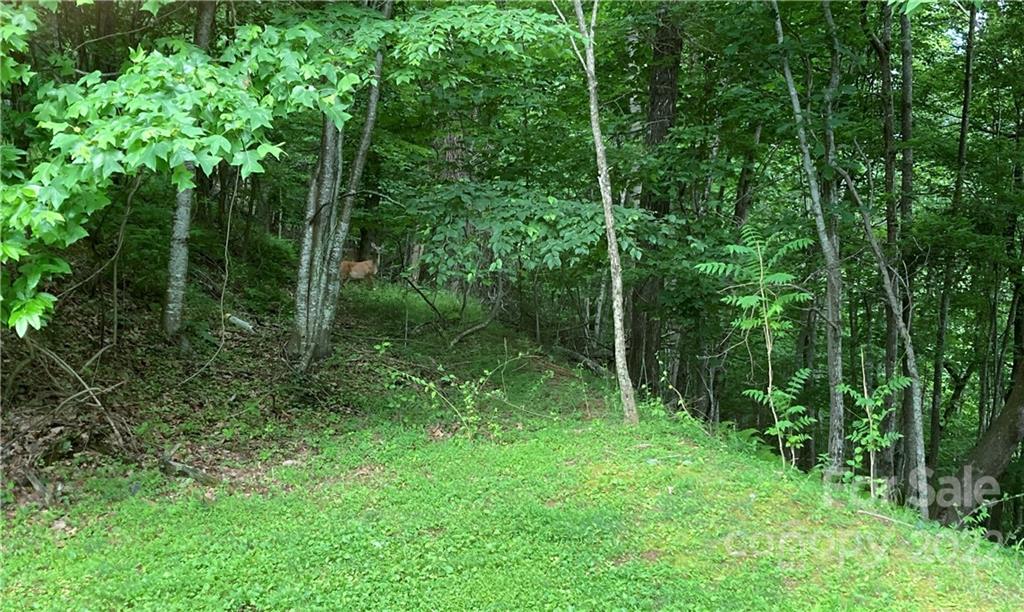 1161 Standing Deer Trace 130 Property Photo 5