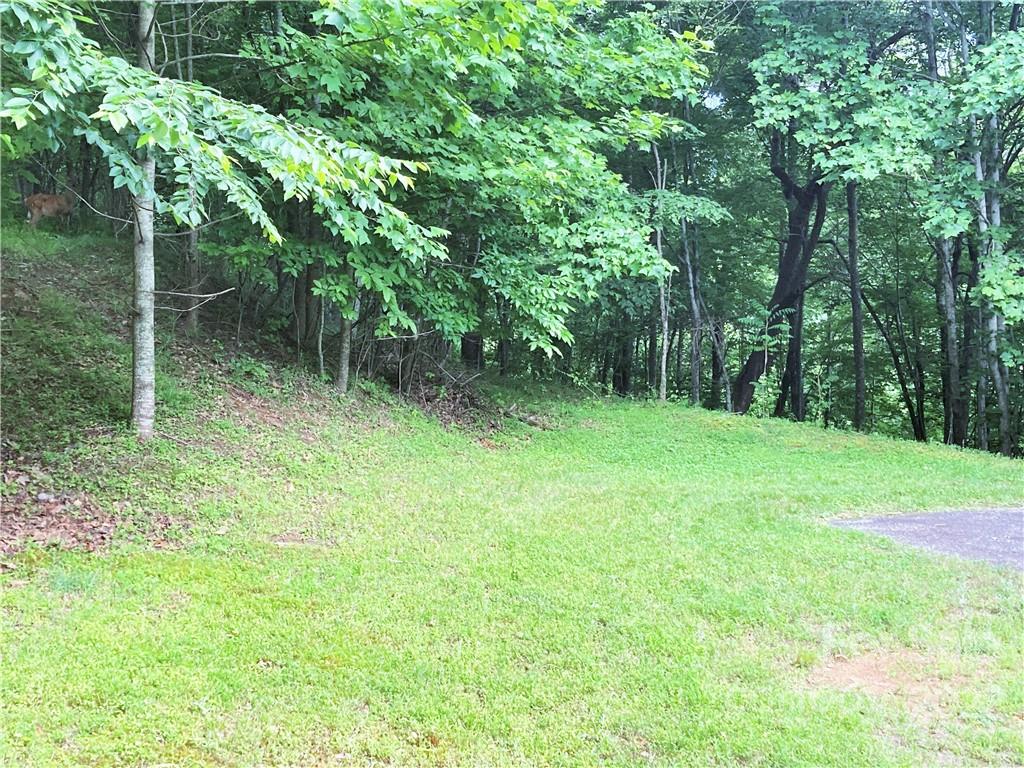 1161 Standing Deer Trace 130 Property Photo 6