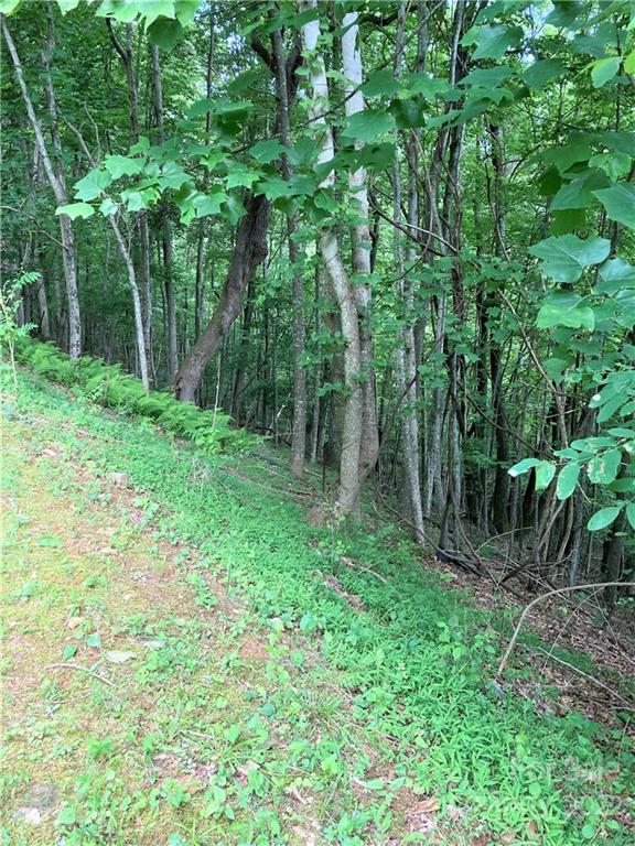 1161 Standing Deer Trace 130 Property Photo 7