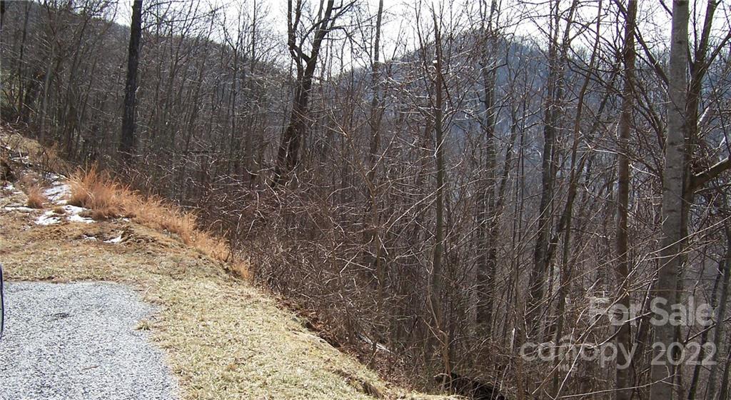 1161 Standing Deer Trace 130 Property Photo 8